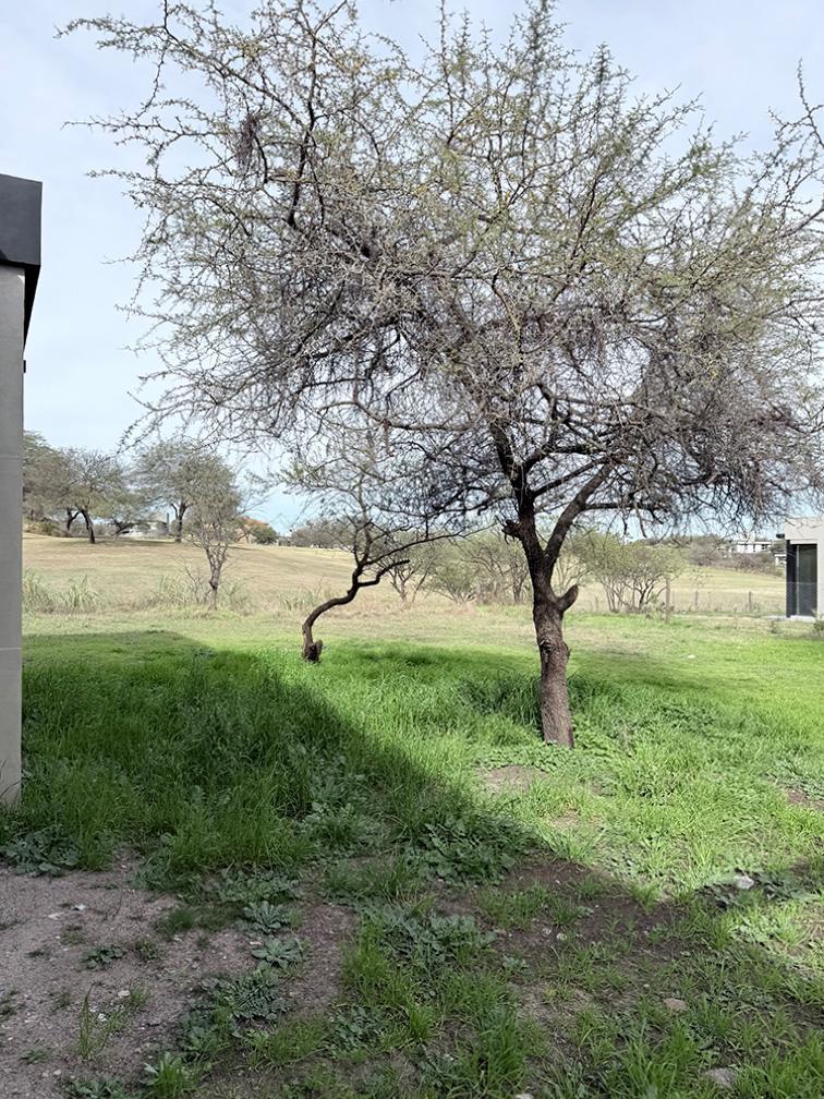 Casa a estrenar con fondo al Golf en El Terrón - planta baja – foto 9