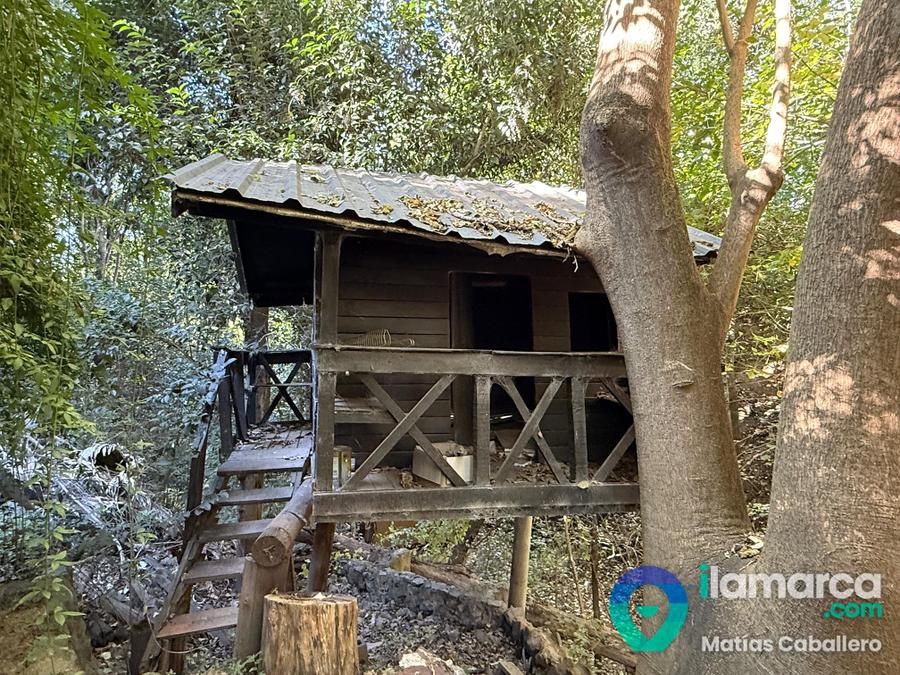 Casa en Las Delicias con una arboleda y bodega increibles – foto 28