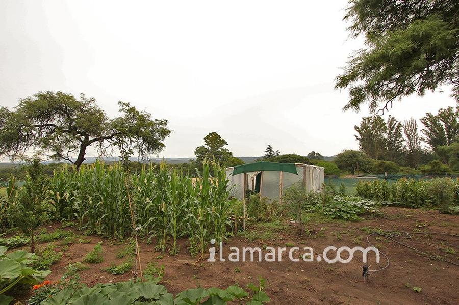 Campo Jose de la Quintana – foto 11