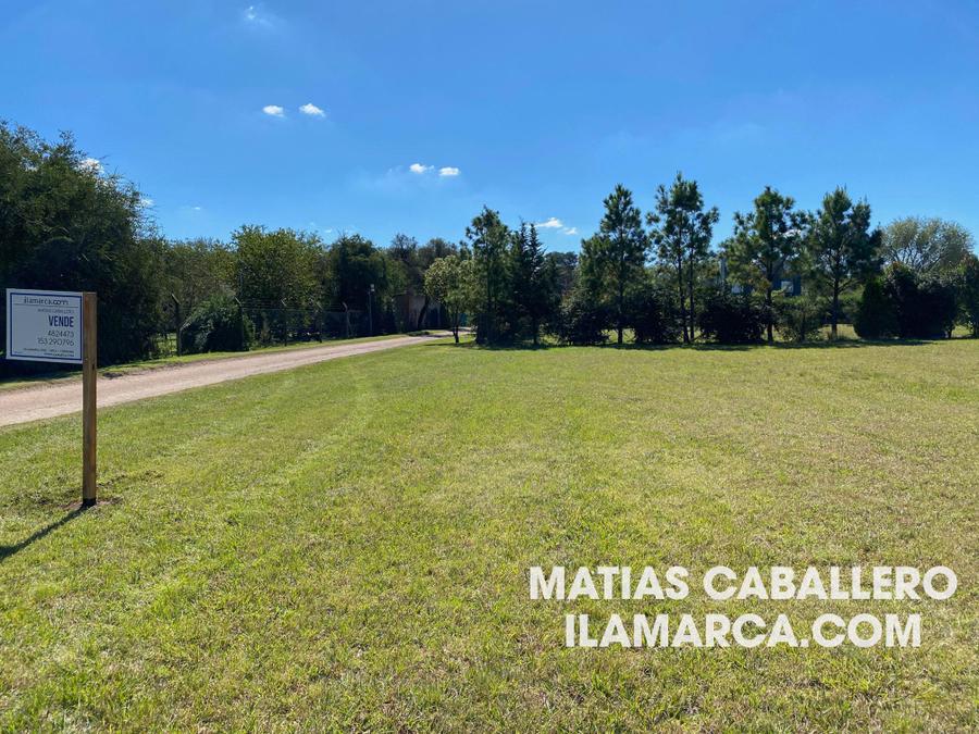 Causana – foto 6