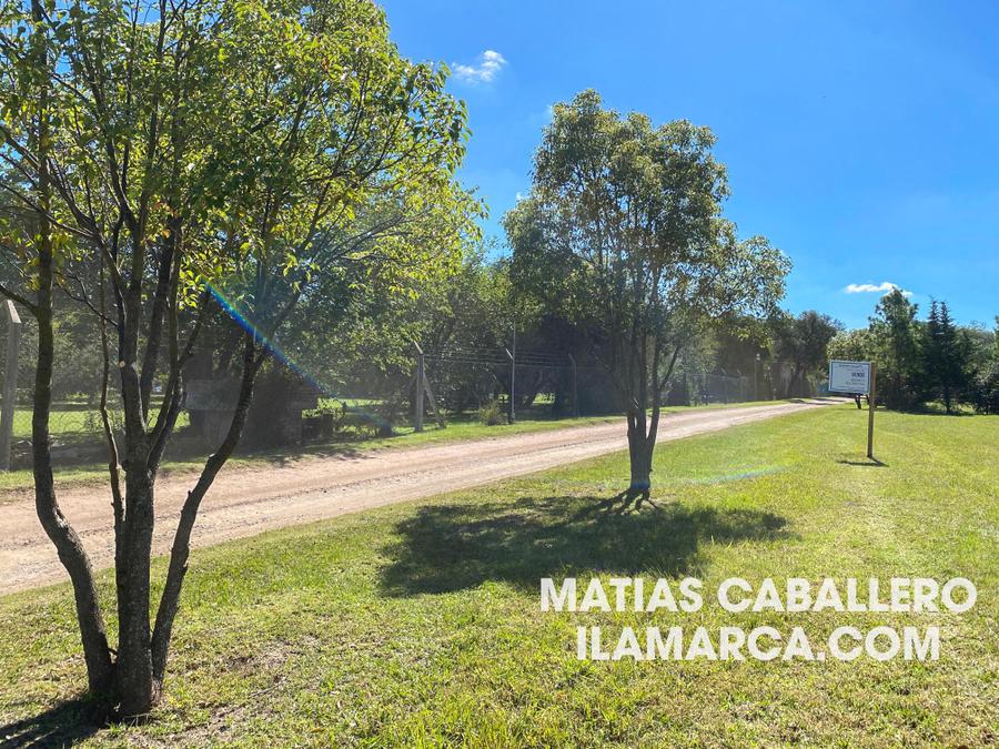 Causana – foto 7