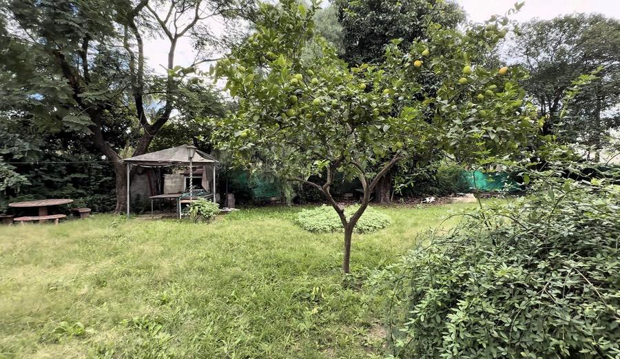Casa a reciclar con 1323 m2 frente a plaza del Zorrilla en Cerro de Las Rosas – foto 51