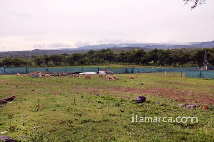 Campo Jose de la Quintana – foto 1