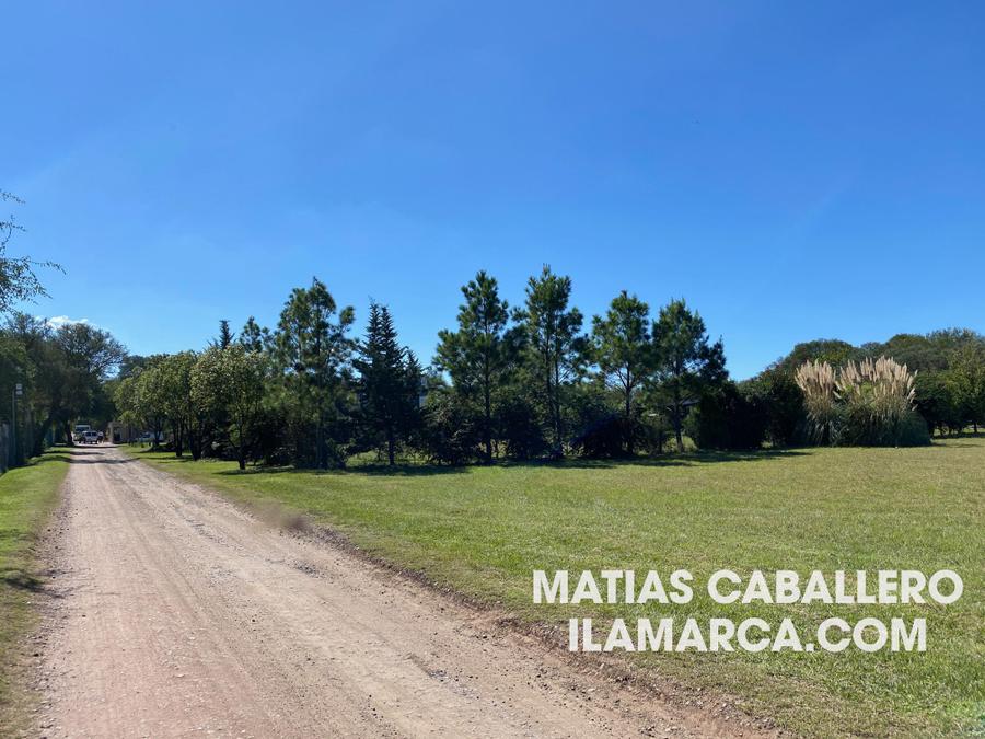 Causana – foto 3